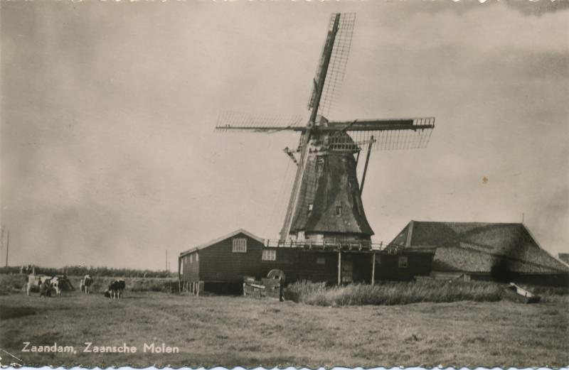 Foto 1649674961
